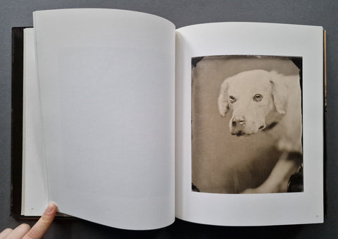 Photographs - Setanta Books