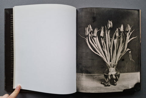 Photographs - Setanta Books