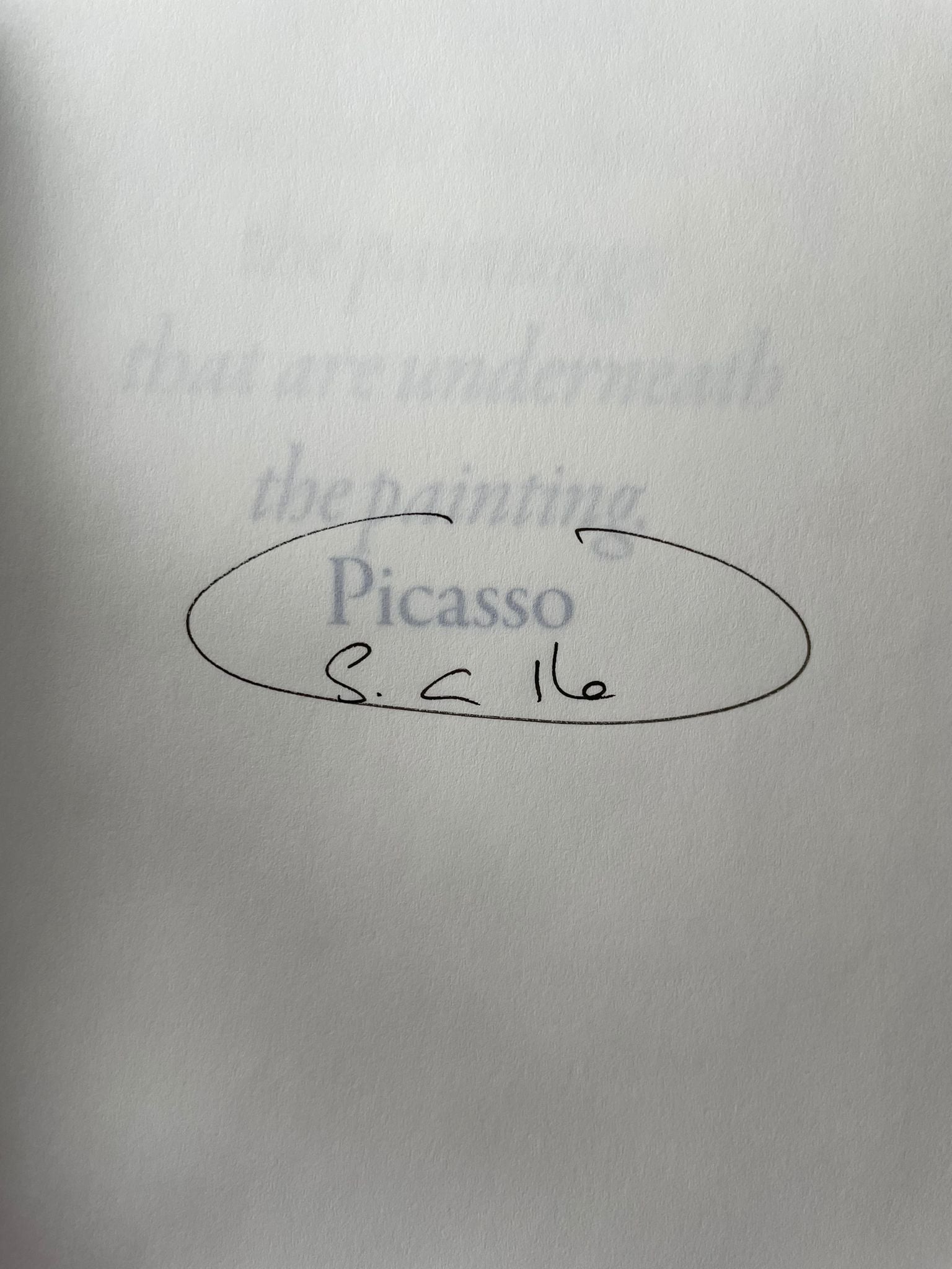 Buy Picalso Sophie Calle Book – Setanta Books