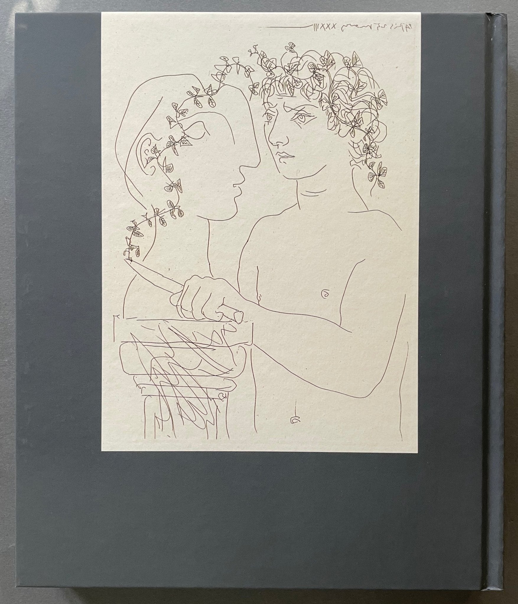 Buy Picasso - The Vollard Suite online today – Setanta Books