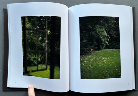 Pictures From The Garden - Setanta Books