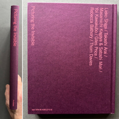 Picturing the Invisible - Setanta Books