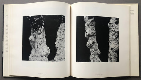 Places: Aaron Siskind Photographs