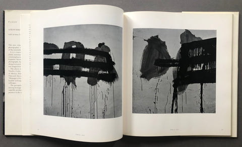 Places: Aaron Siskind Photographs