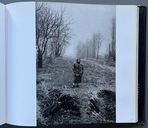 Plaie a Vif: Chechnya 1994 - 2003 - Setanta Books