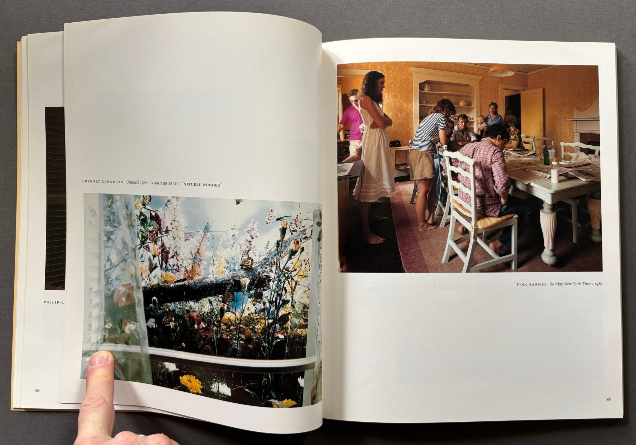 Buy Pleasures and Terrors of Domestic Comfort by Peter Galassi
