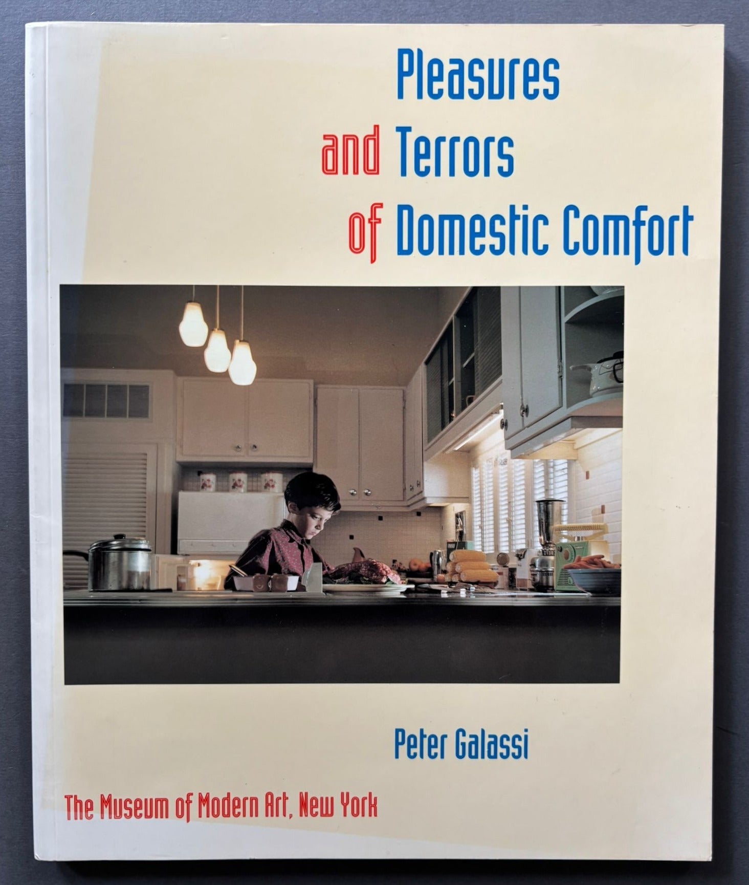 Buy Pleasures and Terrors of Domestic Comfort by Peter Galassi