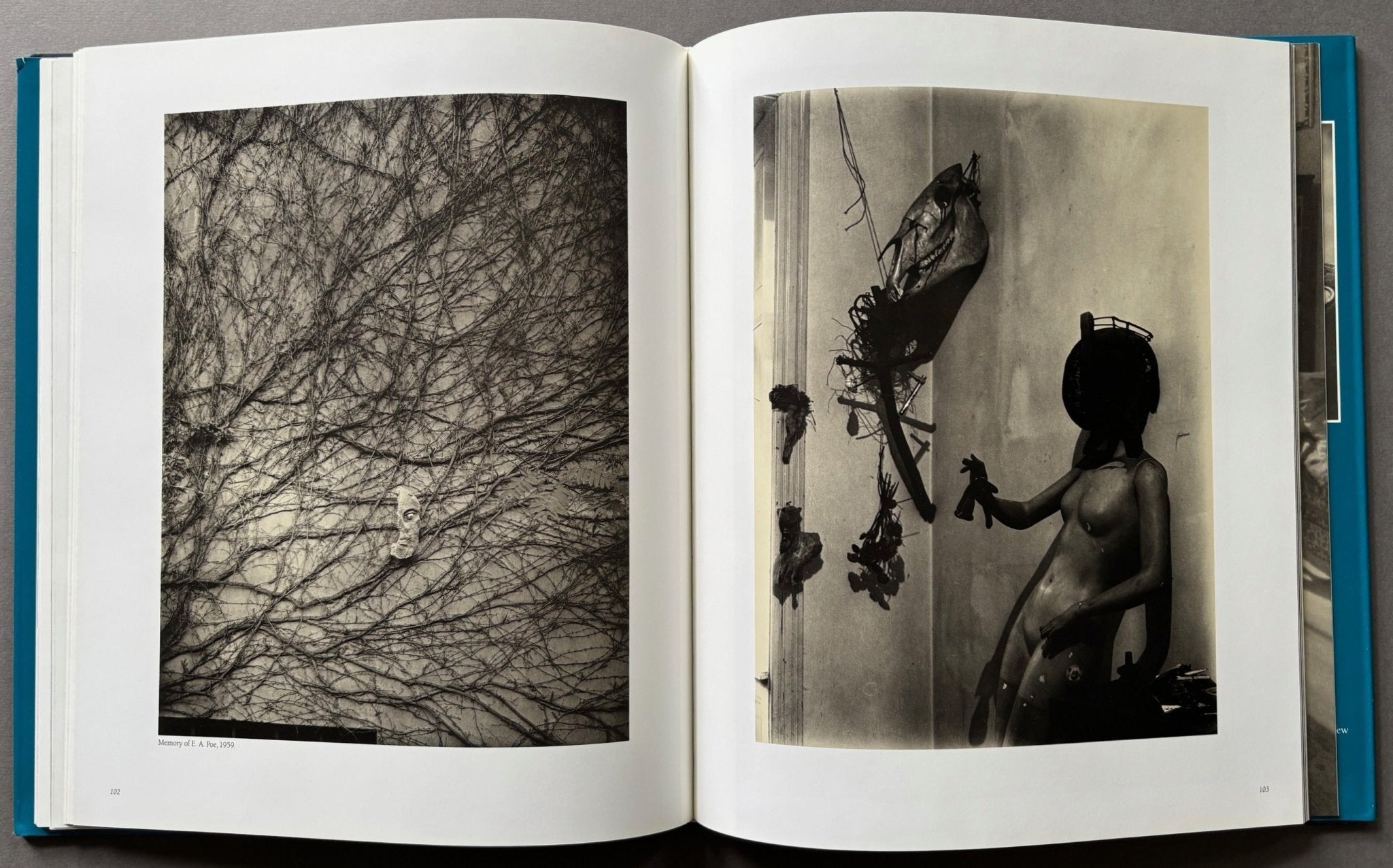 Buy Poet Of Prague: A Photographer's Life by Josef Sudek – Setanta