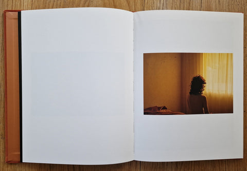 Positive Disintegration - Setanta Books