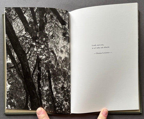 Prayers in An American Church - Setanta Books