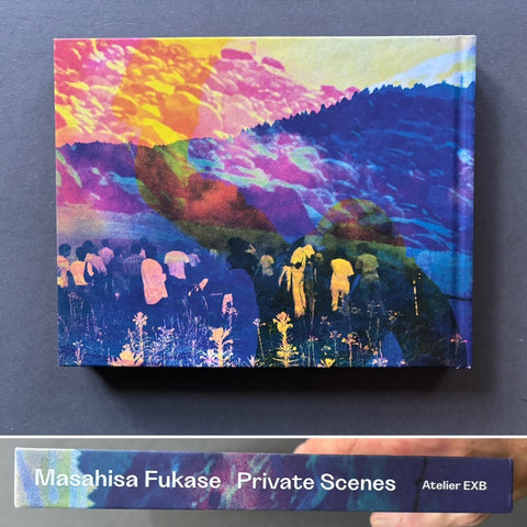 Private Scenes - Setanta Books