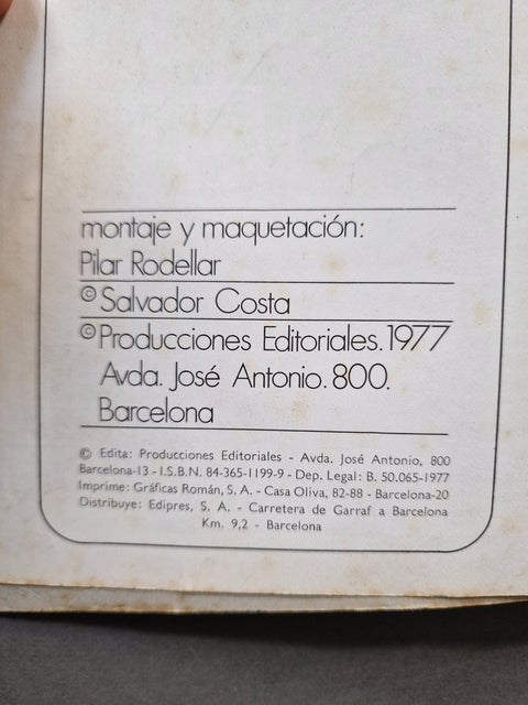 PUNK - Setanta Books