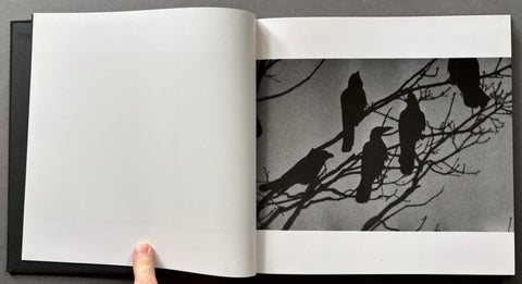 Ravens - 1st edition - Setanta Books