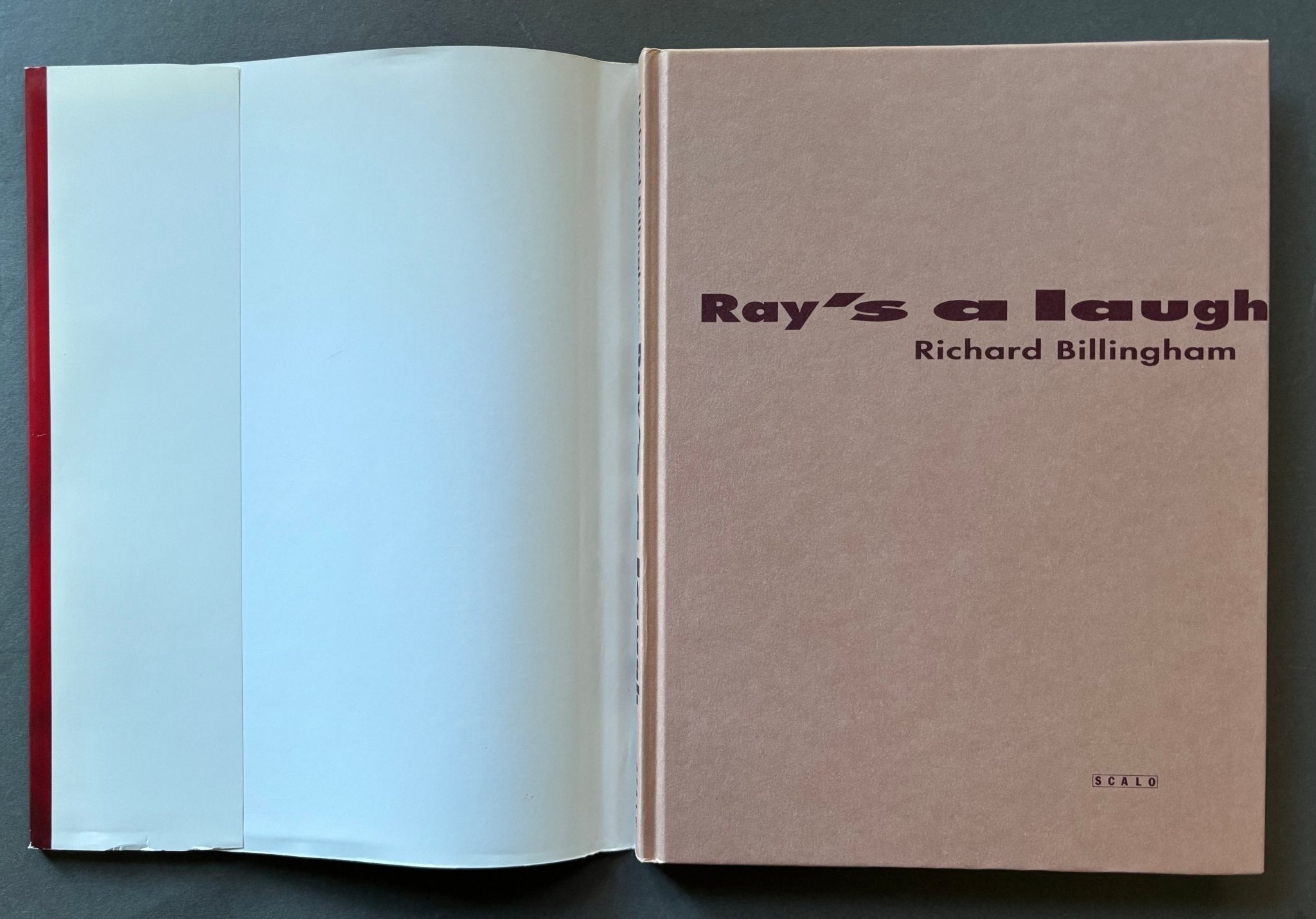 Buy Ray's a Laugh Scalo edition by Richard Billingham online