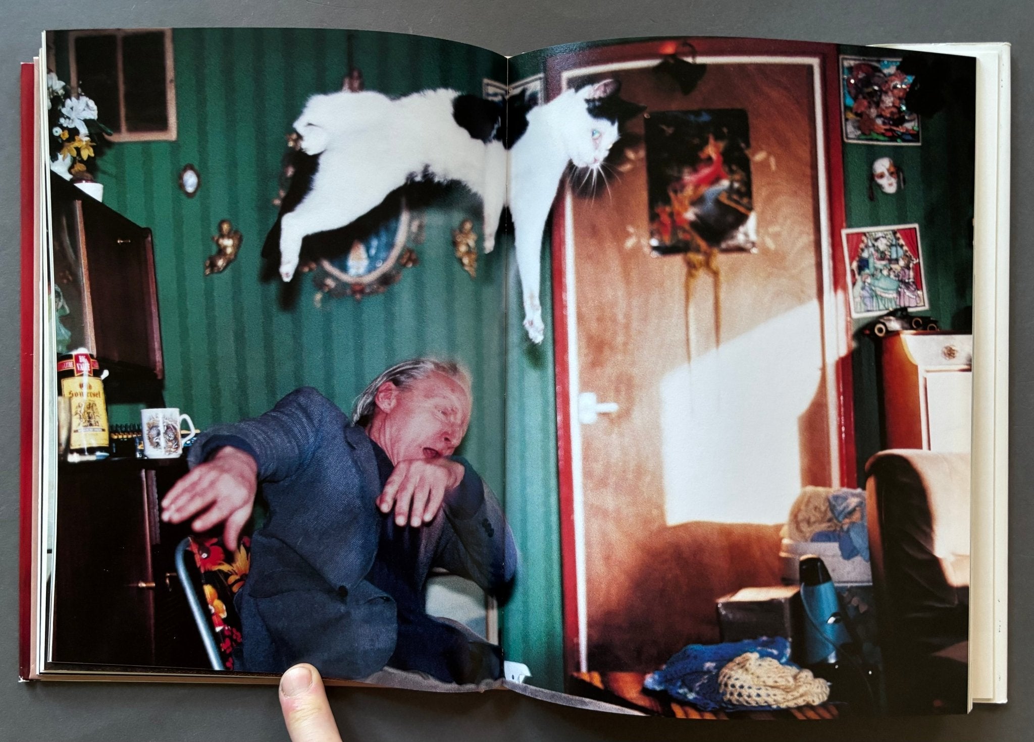 Buy Ray's a Laugh Scalo edition by Richard Billingham online