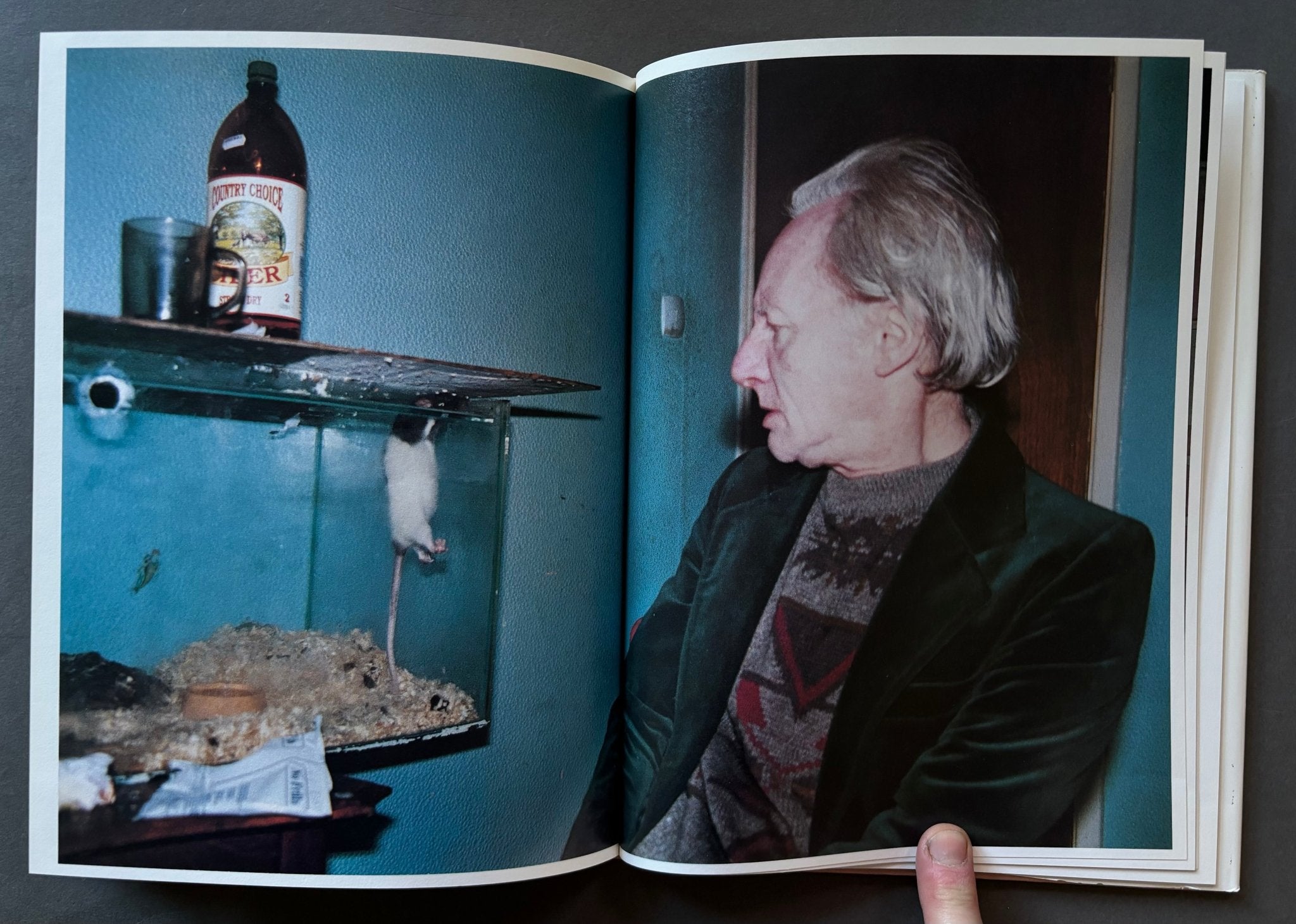 Buy Ray's a Laugh Scalo edition by Richard Billingham online