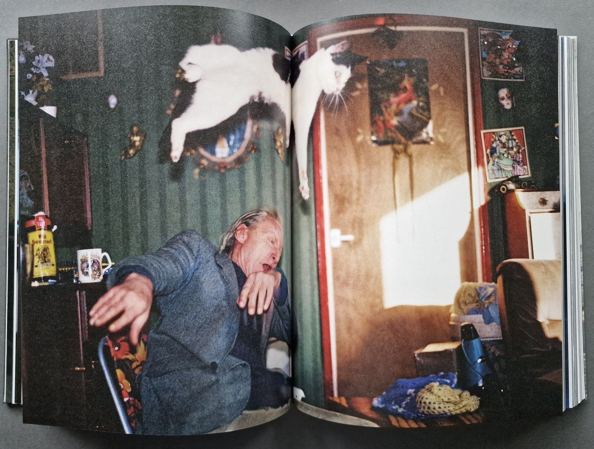 Buy Ray's a Laugh by Richard Billingham Online – Setanta Books