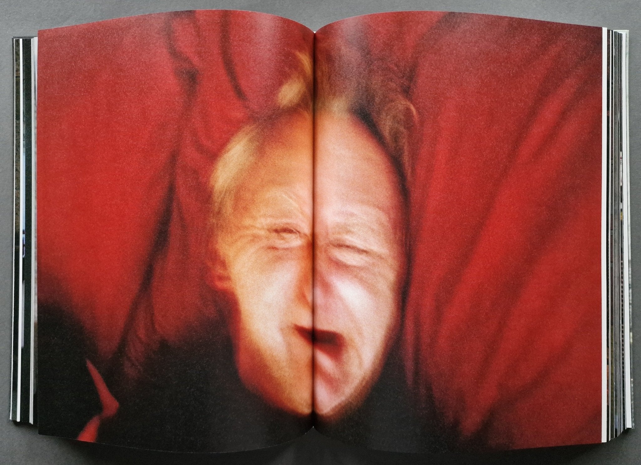 Buy Ray's a Laugh by Richard Billingham Online – Setanta Books