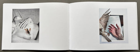 Reciprocal Friction - Setanta Books