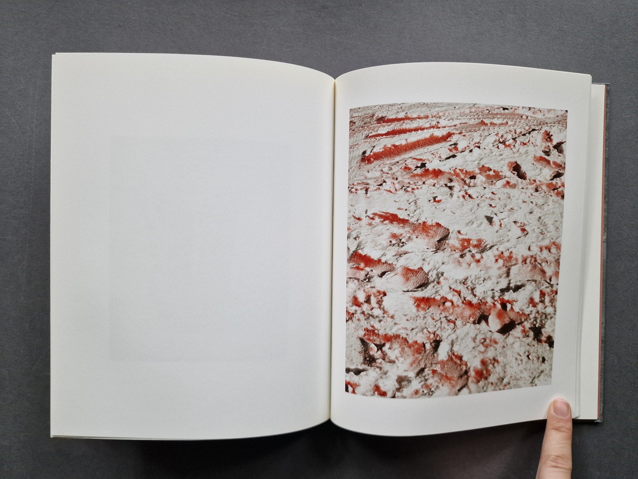 アート・デザイン・音楽 REDHEADED PECKERWOOD Buy Redheaded Peckerwood by Christian Patterson Online – Setanta Books アート・デザイン・音楽