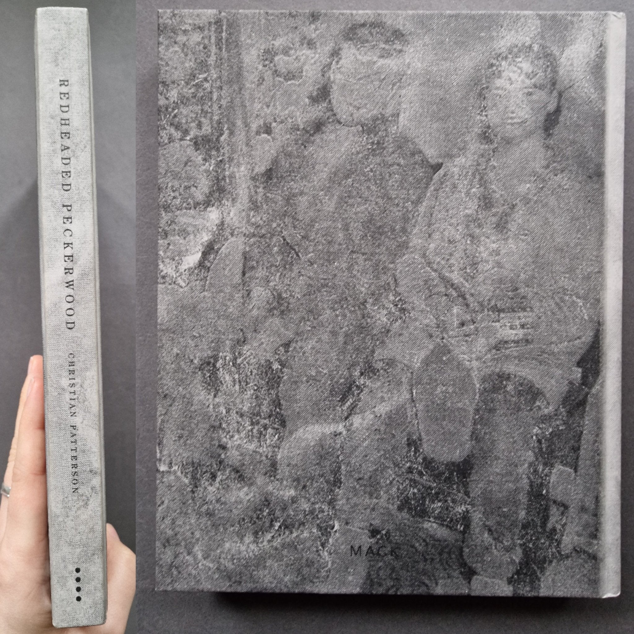 Buy Redheaded Peckerwood by Christian Patterson Online – Setanta Books