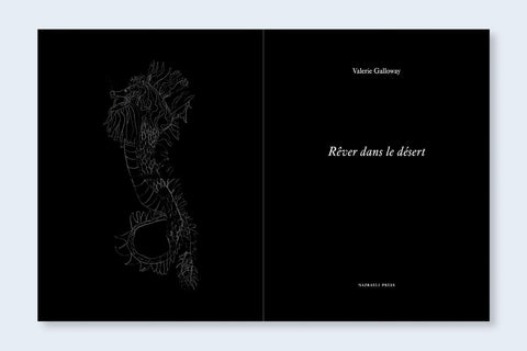 Rêver dans le désert - Setanta Books