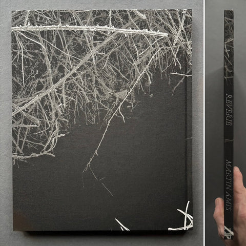 Reverie - Setanta Books