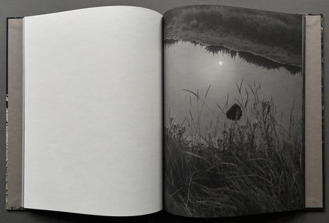 Reverie - Setanta Books