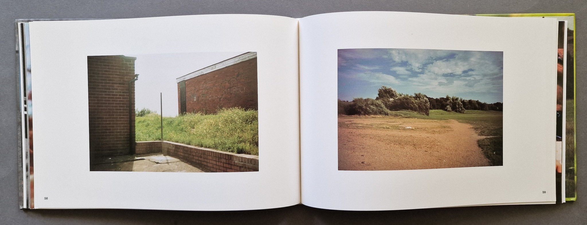 Buy Richard Billingham 2000 Ikon Gallery Online – Setanta Books