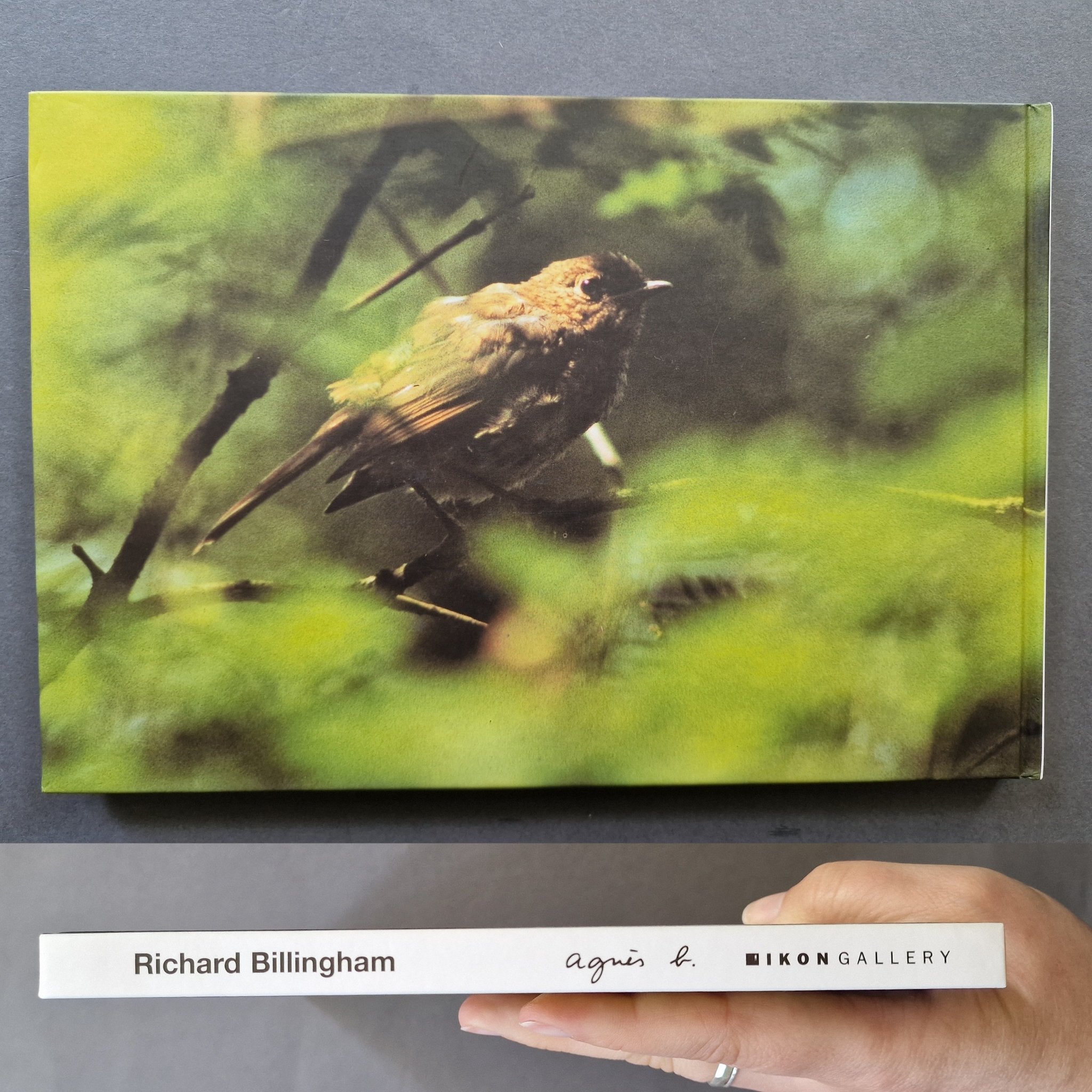 Buy Richard Billingham 2000 Ikon Gallery Online – Setanta Books