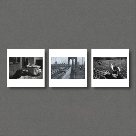 Richard Kalvar Magnum Square Prints - Setanta Books
