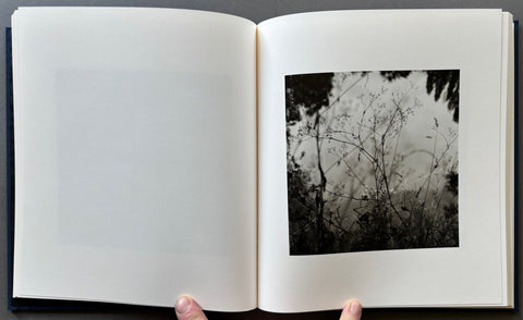 Riverland - Setanta Books