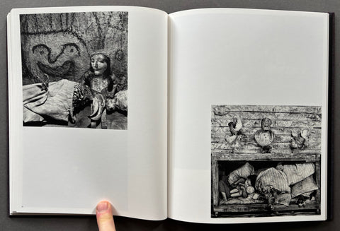 Des oiseaux