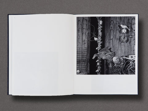 Des Oiseaux Limited Edition with Print