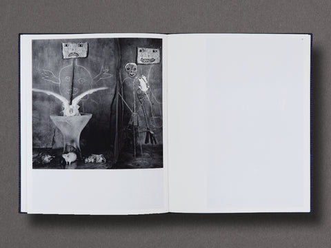 Des Oiseaux Limited Edition with Print