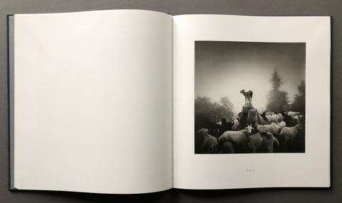 Rolfe Horn: 28 Photographs