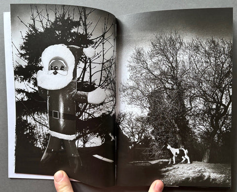Roma, A Diary 2005 - Setanta Books
