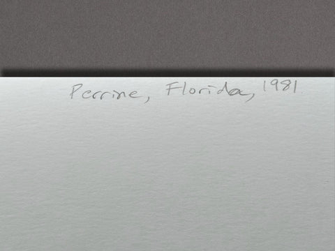 Perrine, Florida, 1981