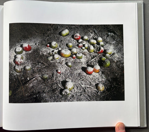 Sam Abell: The Photographic Life - Setanta Books
