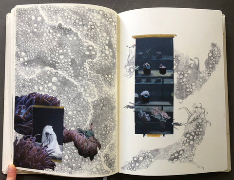 Sleeping State of Being – Creatures of Night and Day