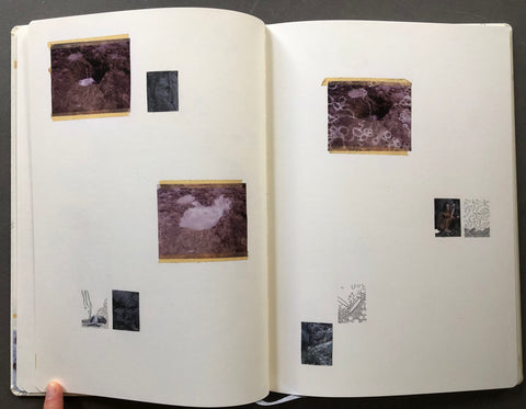 Sleeping State of Being – Creatures of Night and Day