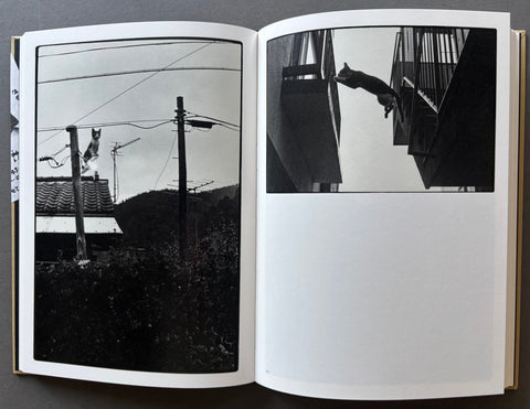 Sasuke - Setanta Books