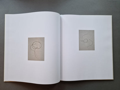 Sea Etchings (Special slipcased edition with print) - Setanta Books