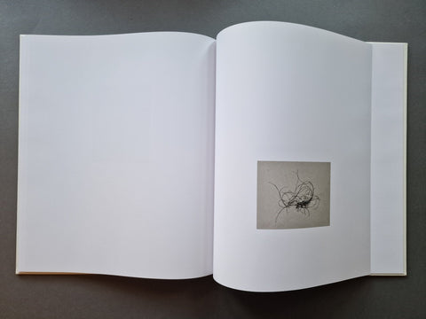 Sea Etchings (Special slipcased edition with print) - Setanta Books