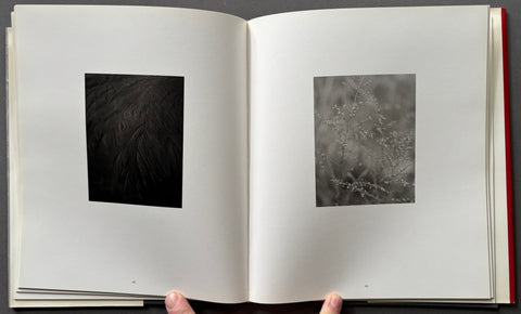 Seasons - Setanta Books