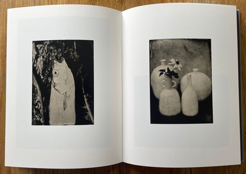 See Until I See No More - Setanta Books
