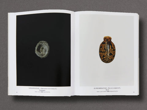Seed Stories Limited Edition with Choice of 2 Prints
