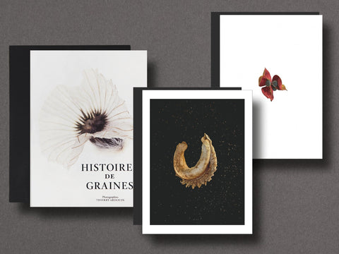 Seed Stories Limited Edition with Choice of 2 Prints - Setanta Books