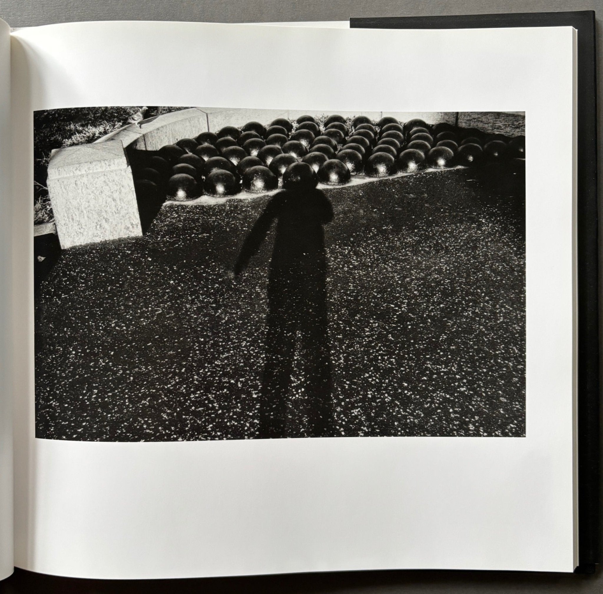 Buy Self Portrait by Lee Friedlander – Setanta Books