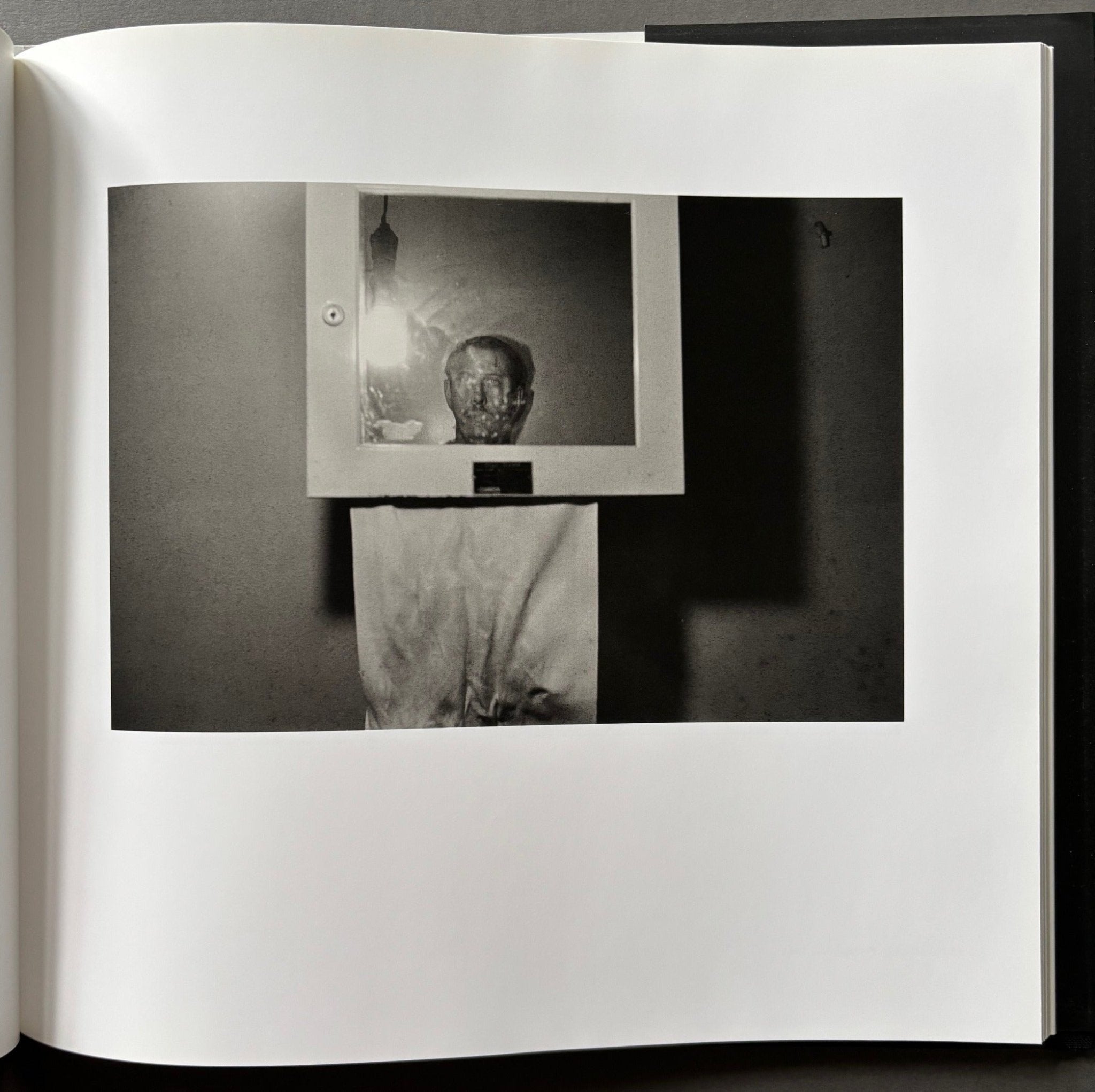 Buy Self Portrait by Lee Friedlander – Setanta Books